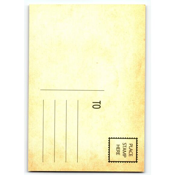 Vintage Halloween Postcard Little Witch with Black Cat Photochrome Sweet Girl - Picture 2 of 2